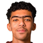 迈沙勒·阿拉埃利